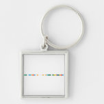 The Maharajh’s Secret Laboratory   Metal Keychains