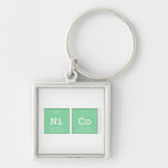 Nico  Metal Keychains