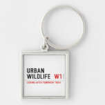 URBAN WILDLIFE   Metal Keychains