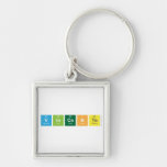 Vincente  Metal Keychains