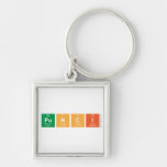 Punci  Metal Keychains