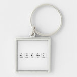 Murray  Metal Keychains