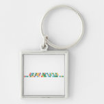 Never gonna give you up
 Never gonna let you down
 Never gonna run around and desert you  Metal Keychains