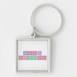 terri
 pizzaro  Metal Keychains