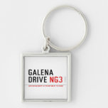 galena drive  Metal Keychains