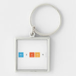 Pd2FO9  Metal Keychains