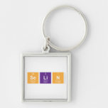 Selin  Metal Keychains