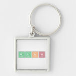 Mako  Metal Keychains