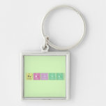 Pariya  Metal Keychains
