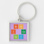 Bro
 I am
 Gay  Metal Keychains