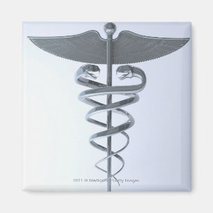 Metal medical caduceus magnet