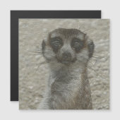 metal meerkat (Front/Back)