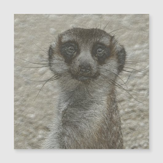 metal meerkat (Front)