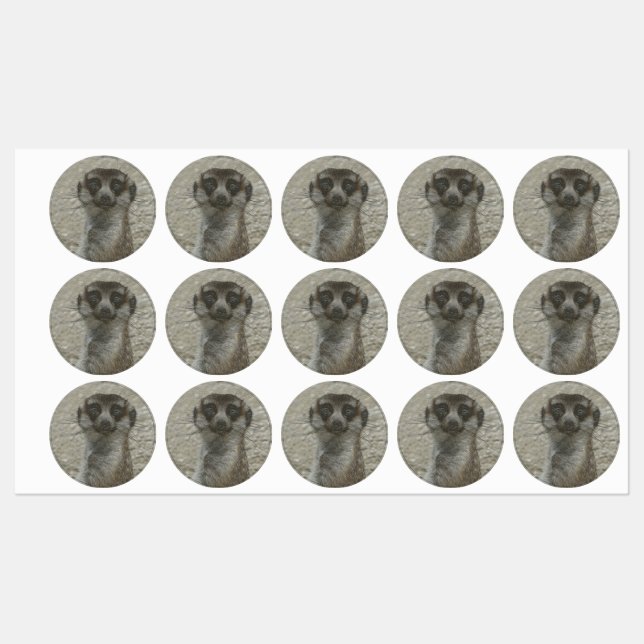 metal meerkat labels (Sheet)