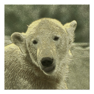 metal polar bear poster