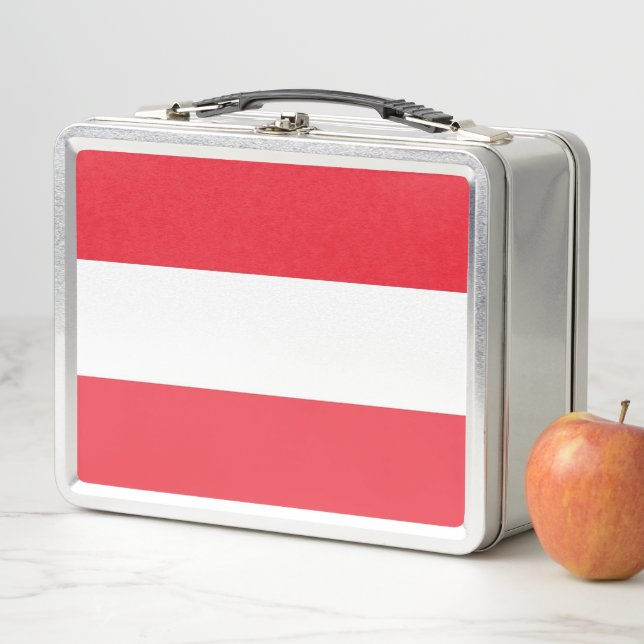Metal Stainless Lunchbox with Austria flag (In Situ)