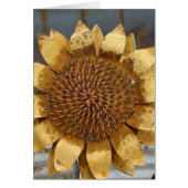 Metal Sunflower (Front)