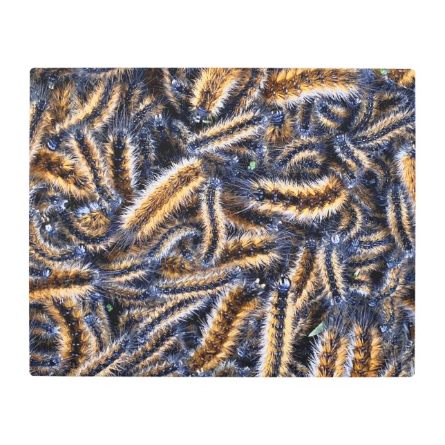 Metal Wall Art (Front)