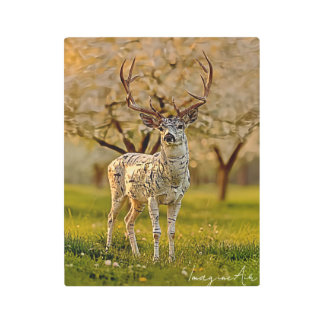 Metal Wall Art
