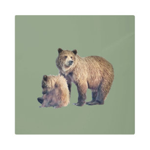 Metal Wall Art, 16" x 16" of grizzly bear and cub Metal Print