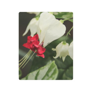 Metal Wall Art Bleeding Heart Flower