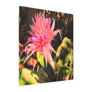 Metal Wall Art Bromeliad