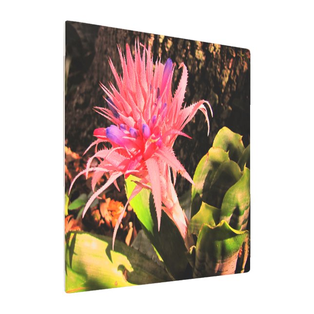 Metal Wall Art Bromeliad (Angled)
