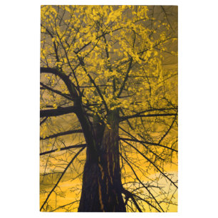 Metal Wall Art Fall Yellow Tree Painting