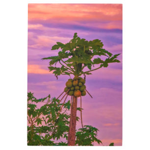 Metal Wall Art Papaya Tree And Brazilian Sunset