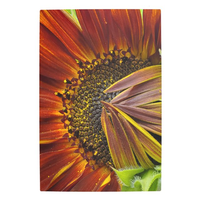 Metal Wall Art Sunflower  (Front)