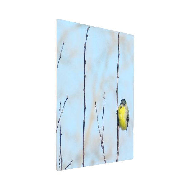 Metal Wall Art - Yellow Finch (3/4)