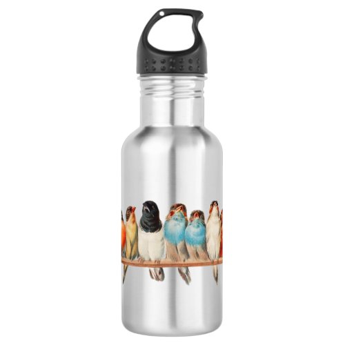 Metal water bottle with a perch of birds 