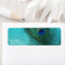 Metallic Aqua Blue Peacock Feather
