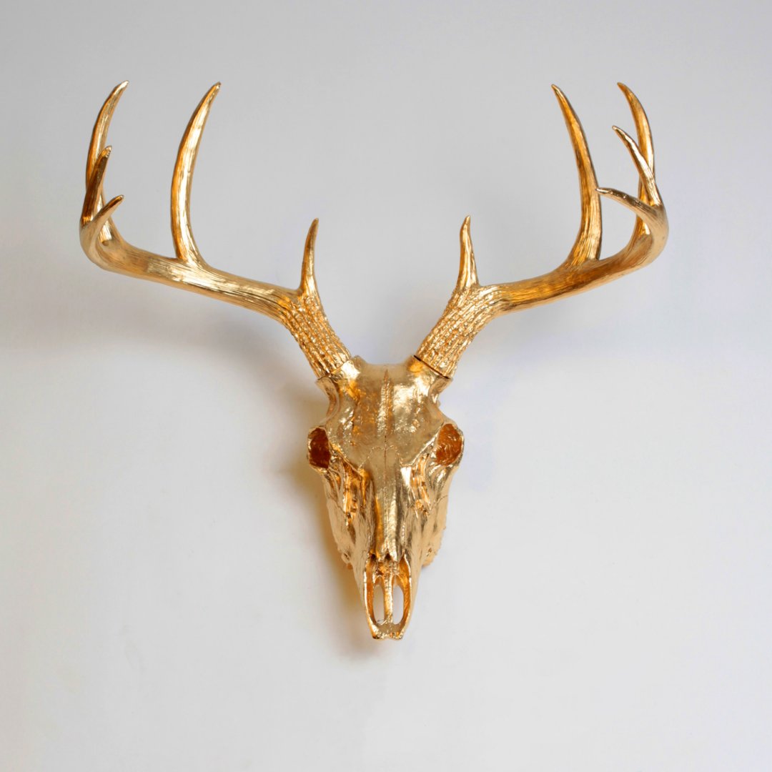 Metallic Gold Faux Deer Skull | Zazzle