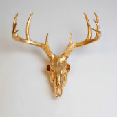 Metallic Gold Faux Deer Skull (Front)
