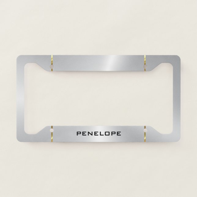 Metallic Stainless Steel Gold Silver Accent License Plate Frame (Front)