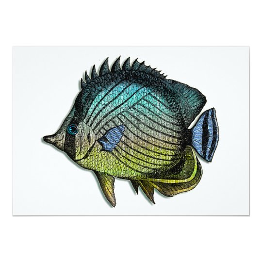 Metallic Striped Tropical Butterfly Fish Card