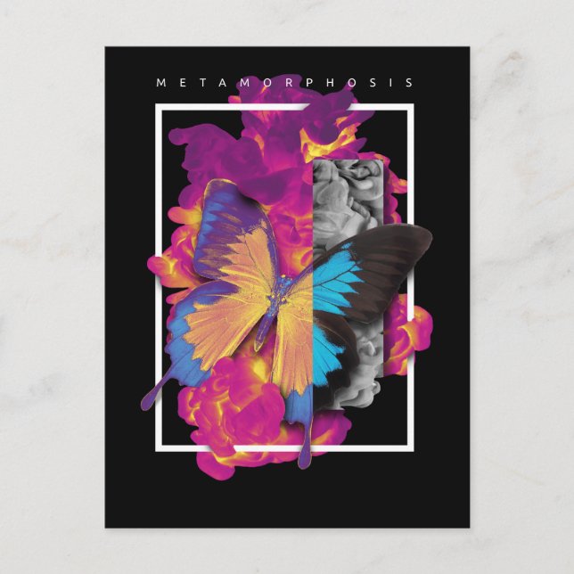 Metamorphosis  Butterfly Postcard (Front)