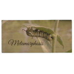 Metamorphosis Caterpillar To Butterfly Wood Flash Drive at Zazzle