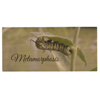 Metamorphosis caterpillar to butterfly wood flash drive