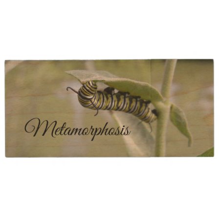 Metamorphosis Caterpillar To Butterfly Wood Flash Drive