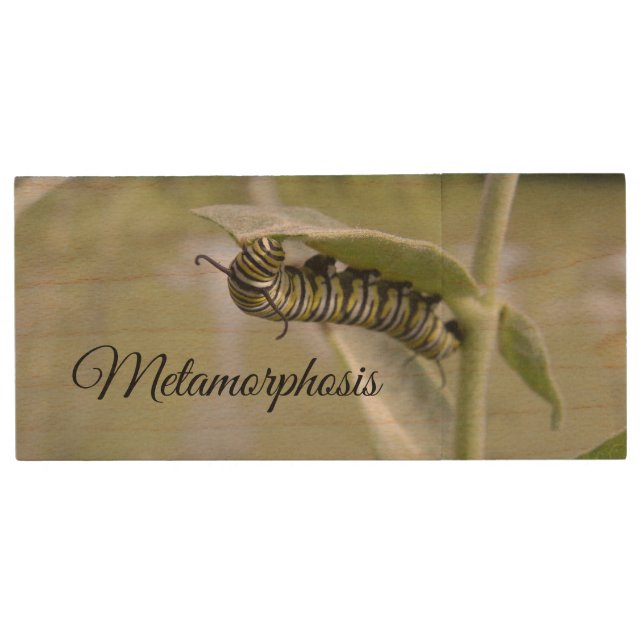Metamorphosis caterpillar to butterfly wood flash drive (Front)