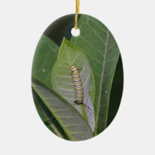 Metamorphosis Ornament