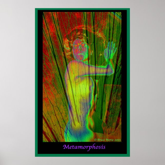 Metamorphosis Poster (Front)