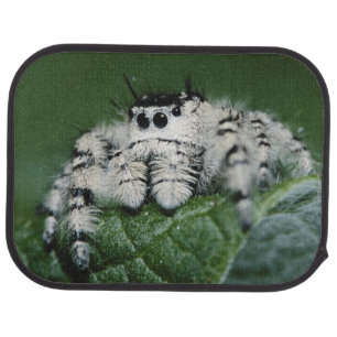 Metaphid Jumping Spider Car Mat
