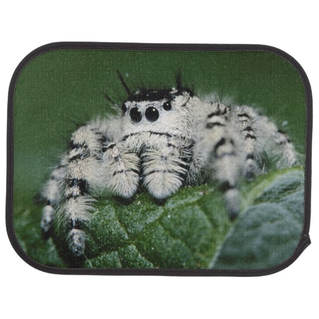 Metaphid Jumping Spider Car Mat (Rear)