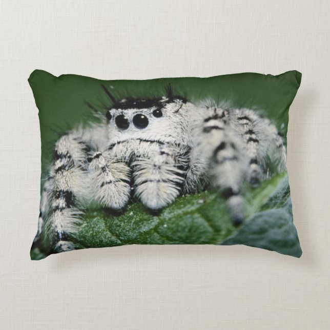 Metaphid Jumping Spider Decorative Pillow (Front)
