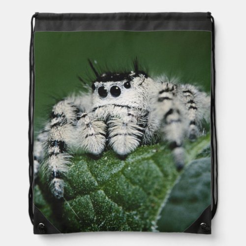 Metaphid Jumping Spider Drawstring Bag