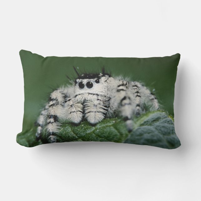 Metaphid Jumping Spider Lumbar Pillow (Front)