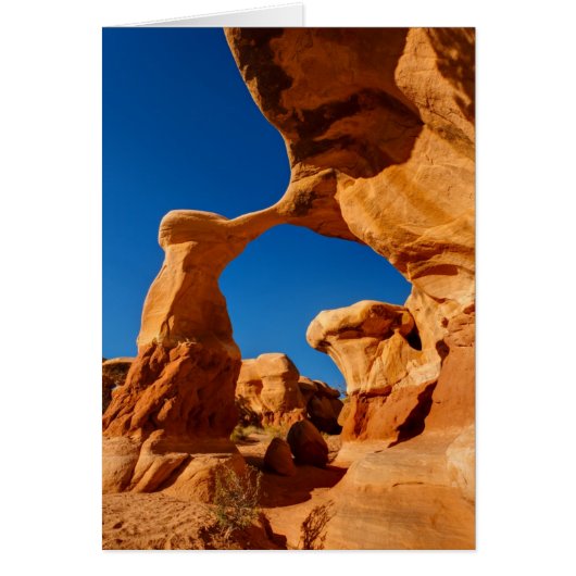Metate Arch Cards (Front)